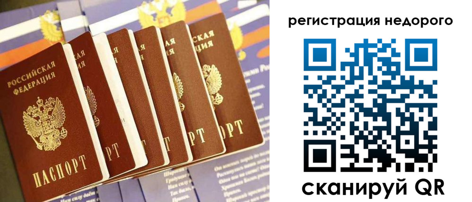 прописка в квартире в Мончегорске